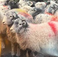 Interwoven : Kvadrat textile and design