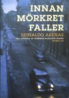 Innan m&ouml;rkret faller