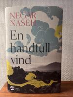 En handfull vind