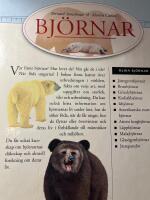 Bj&ouml;rnar