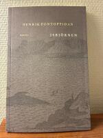 Isbj&ouml;rnen