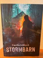 Stormbarn