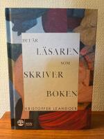 Huvudet p&aring; en p&aring;le : om statlig m&ouml;rkl&auml;ggning och terror i demokratier