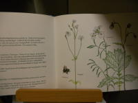 Ett leende landskap : teckningar och anteckningar fr&aring;n ett &aring;r i naturen