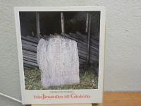 Fr&aring;n J&auml;rnatullen till G&aring;rdarike - En bok om S&ouml;dert&auml;ljetraktens runinskrifter