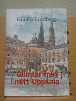 Glimtar fr&aring;n mitt Uppsala