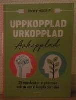 Uppkopplad, urkopplad, avkopplad: S&aring; missbrukar vi internet