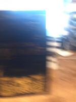 Fantastiska vidunder och var man hittar dem : Filmmanuset