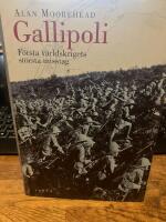 Gallipoli : f&ouml;rsta v&auml;rldskrigets st&ouml;rsta misstag