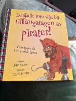 Du skulle inte vilja bli tillf&aring;ngatagen av pirater!