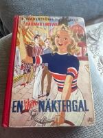 En liten n&auml;ktergal