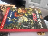 Puck g&aring;r p&aring; tjuvjakt