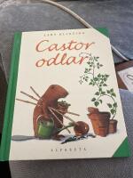 Castor odlar