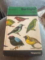 Burf&aring;glar i f&auml;rg