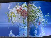 International Floral art 08/09