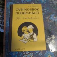 &Ouml;vningsbok i modersm&aring;let f&ouml;r sm&aring;skolan