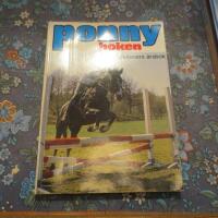 Ponnyboken