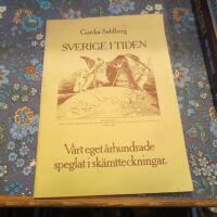 Sverige i tiden : vårt eget århundrade speglat i skämtteckningar