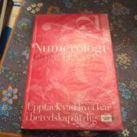 Numerologi : Uppt&auml;ck vad livet har i beredskap &aring;t dig