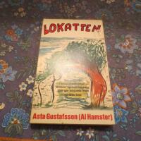 Lokatten