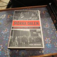Den m&ouml;rka dalen : Panorama &ouml;ver 1930-talet