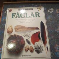 F&aring;glar : [f&aring;glarnas sp&auml;nnande v&auml;rld i n&auml;rbild, deras utveckling, beteende, milj&ouml; och hemliga liv]