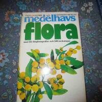 Medelhavsflora