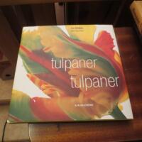 Tulpaner, tulpaner
