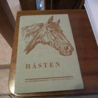 H&auml;sten