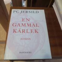 En gammal k&auml;rlek : roman