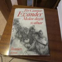 Medan dagen svalnar : roman