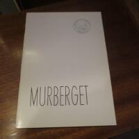 Murberget en kort v&auml;gledning