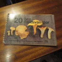 20 bra matsvampar