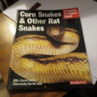 Corn sankes and other rat snakes