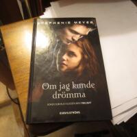 Om jag kunde dr&ouml;mma