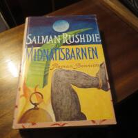 Midnattsbarnen : [roman]