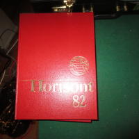 Horisont 82