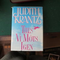 Tills vi m&ouml;ts igen