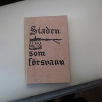 Staden som f&ouml;rsvann