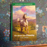 En chans f&ouml;r Charity