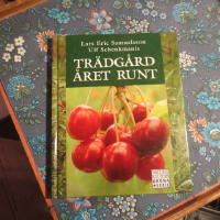 Tr&auml;dg&aring;rd &aring;ret runt