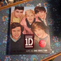 Life as one direction