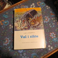 Val i sikte