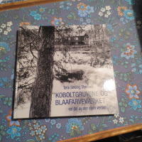 Koboltgruvene og blaafarvev&aelig;r̆ket : en del av den store verden