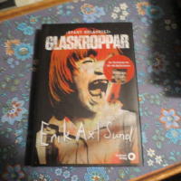 Glaskroppar