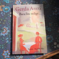 Bara lite roligt- : roman