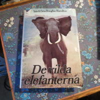 De vilda elefanterna