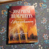 Efter orkanen : [roman]