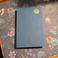 Uppt&auml;ckarna : (pojkar, 1927) : roman