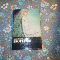 Brott i sol